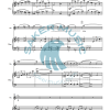 Steven Franklin: Passacaglia_and_rondo_for_violin_and_piano sheet music product sample image 2