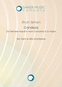 Aron Simon: Cadenza for Michael Haydn's Concertino for two horns and orchestra sheet music