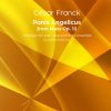Cesar Franck: Panis angelicus, arranged by Adam David Gal sheet music for brass ensemble cover page